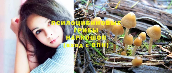 дживик Богданович