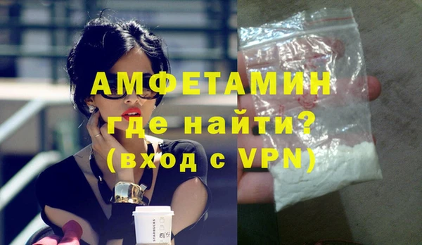 шишки Сясьстрой