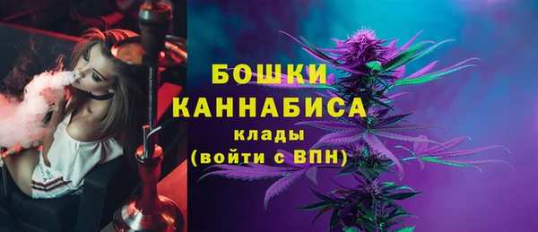 ешки Верхний Тагил