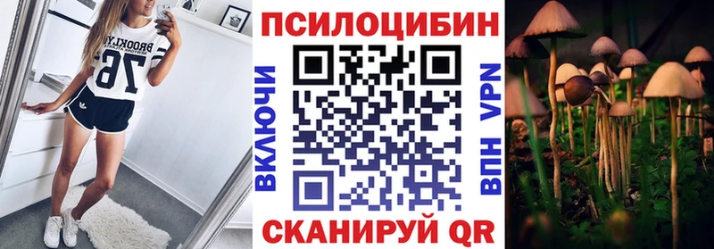 Галлюциногенные грибы мухоморы где продают наркотики Выкса